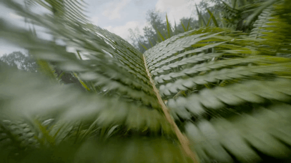 Seedance 2.0封神！15套专属提示词省时又省力（图ZMTU1MjE5ODg=） - 资讯 - 站酷设计师站酷AI圈原创素材 - 站酷ZCOOL