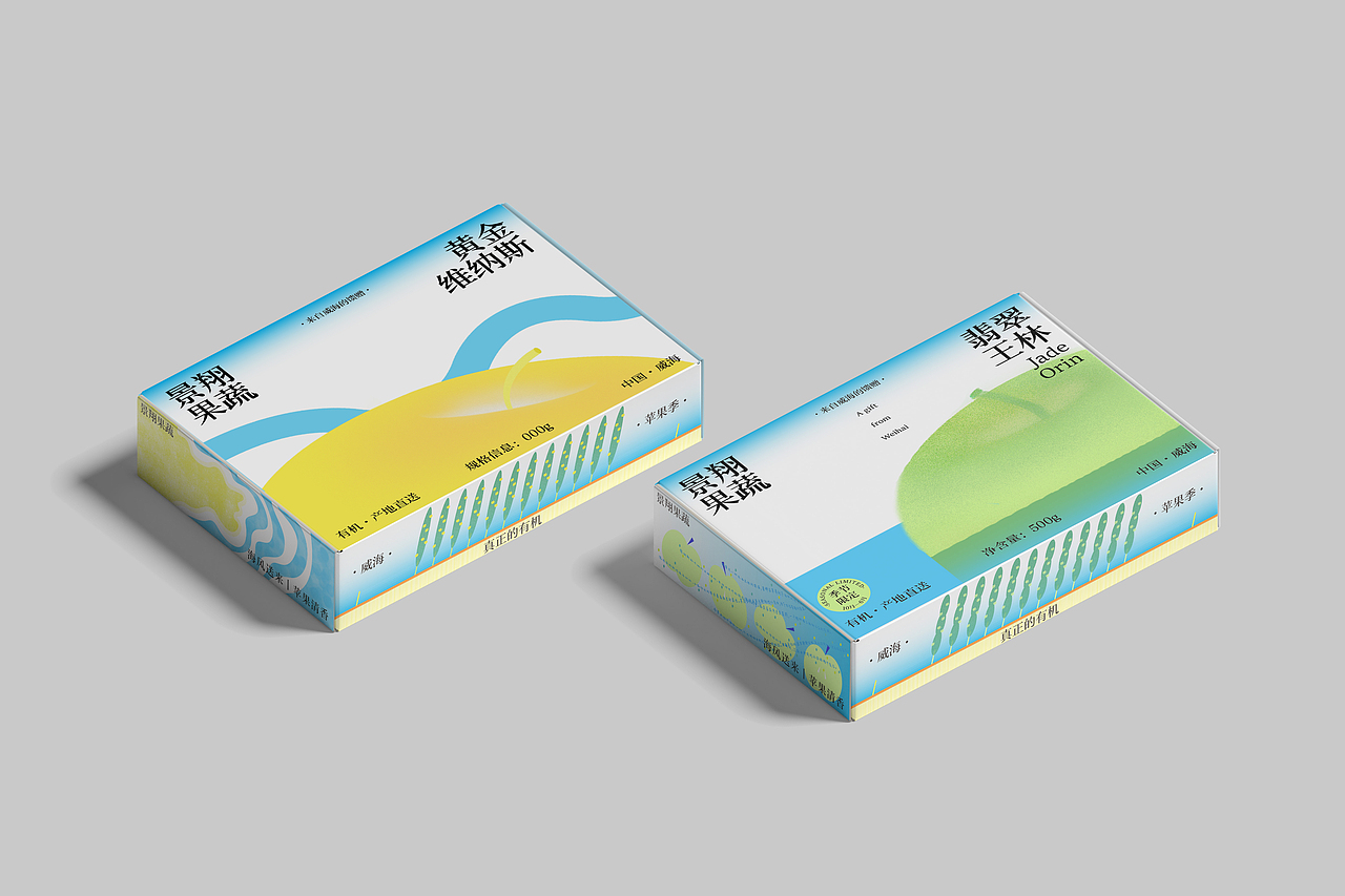 Pingo·高端苹果品牌礼盒包装设计(图ZNDA1MTM4OTE2) - 包装 - 站酷设计师大饼包菜原创素材 - 站酷ZCOOL