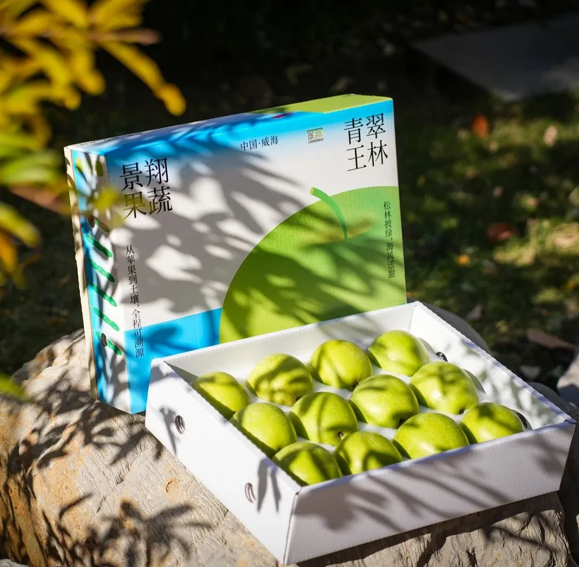 Pingo·高端苹果品牌礼盒包装设计(图ZNDA1MTM5NDEy) - 包装 - 站酷设计师大饼包菜原创素材 - 站酷ZCOOL