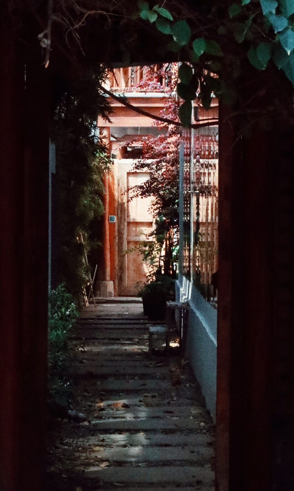 街拍成都/夜未央（图ZNDA1MTQ2MTUy） - 人文/纪实摄影 - 站酷设计师将军他爸原创素材 - 站酷ZCOOL