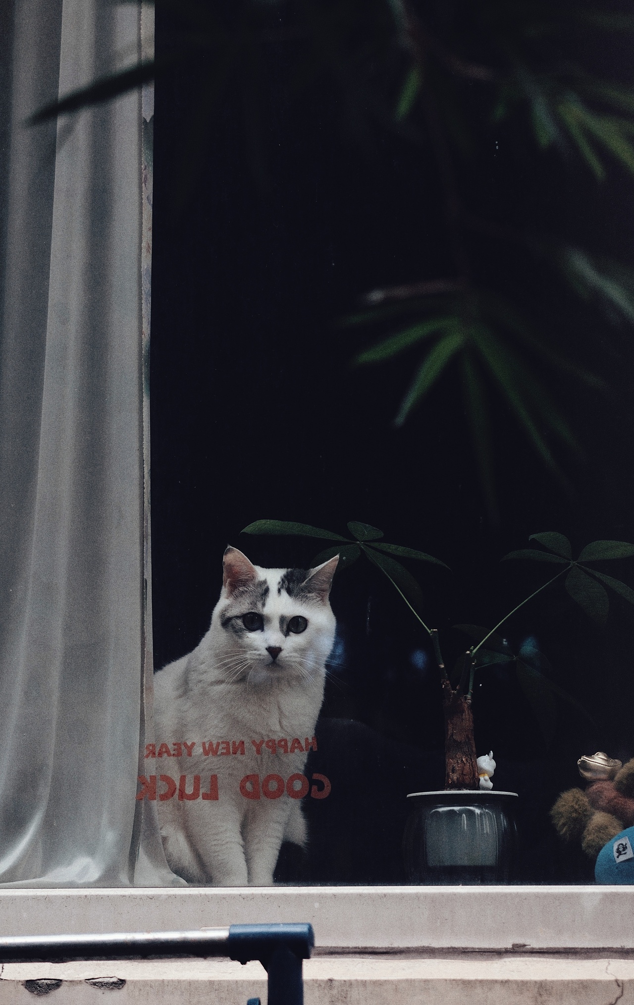 街拍成都/夜未央（图ZNDA1MTQ2MTgw） - 人文/纪实摄影 - 站酷设计师将军他爸原创素材 - 站酷ZCOOL