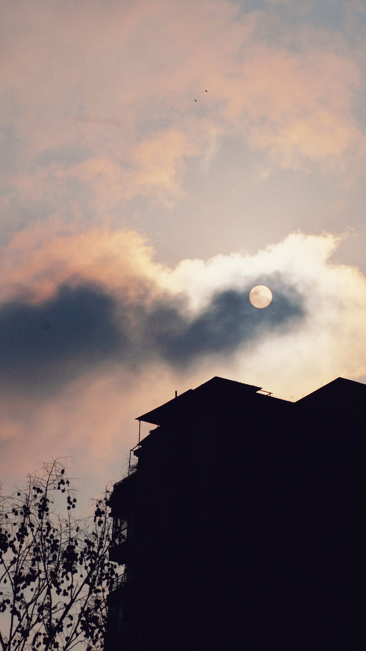 街拍成都/夜未央（图ZNDA1MTQ2MjE2） - 人文/纪实摄影 - 站酷设计师将军他爸原创素材 - 站酷ZCOOL