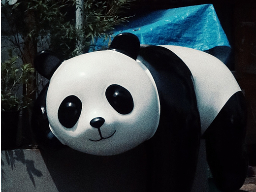 街拍成都/夜未央