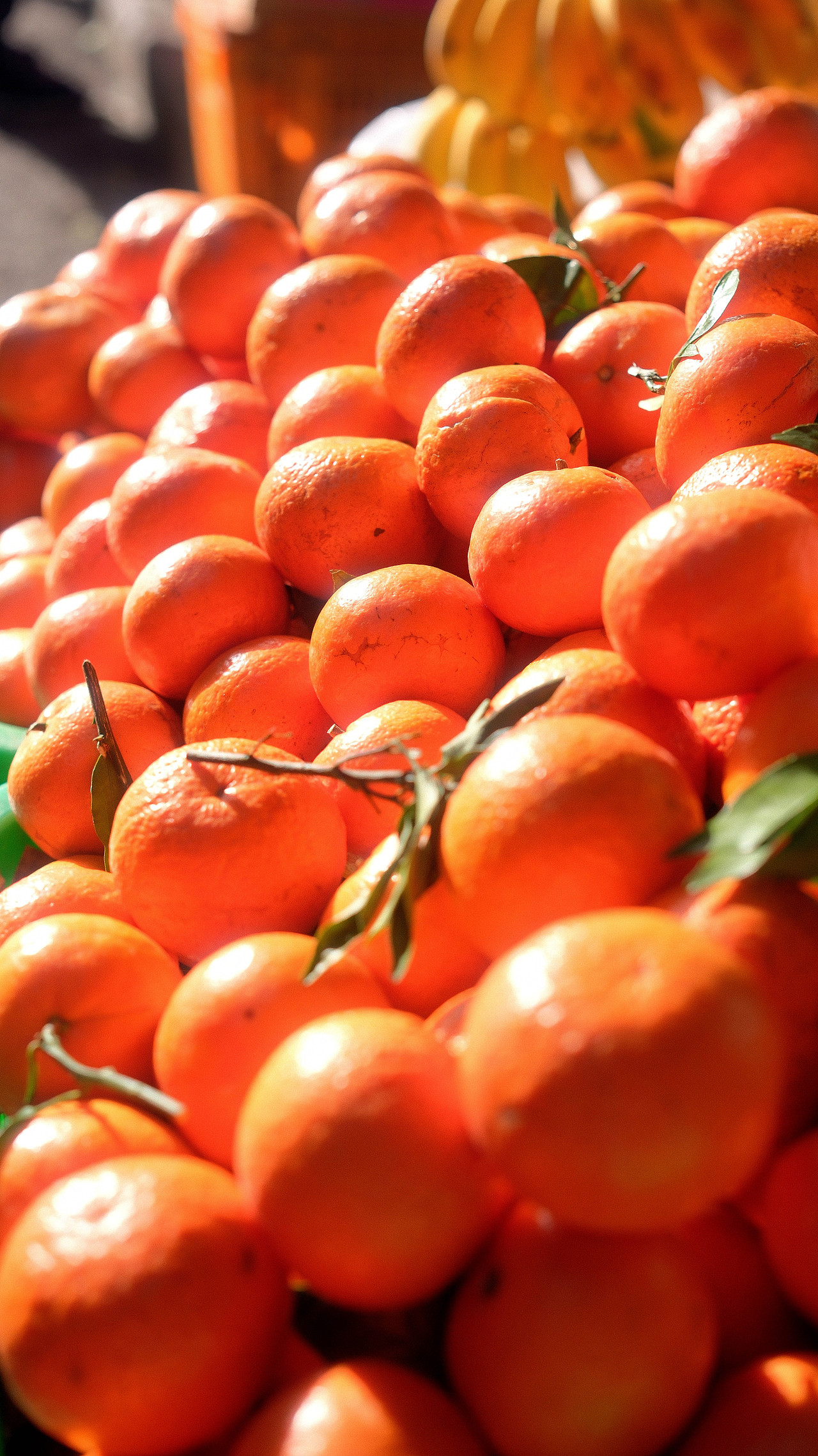 街拍成都/菜市场（图ZNDA1MTQ2NzE2） - 人文/纪实摄影 - 站酷设计师将军他爸原创素材 - 站酷ZCOOL