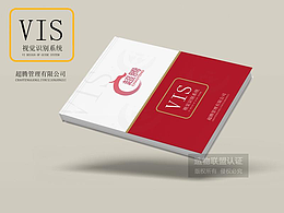 超腾管理公司VIS系统设计 品牌设计