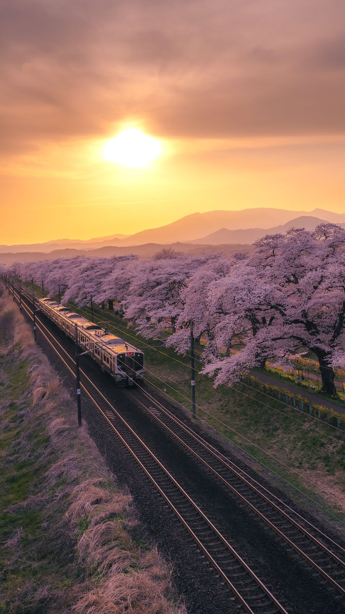 橘光漫行：春日都市的街角一撇（图ZNDA1MTUyOTY4） - 人文/纪实摄影 - 站酷设计师一小迷糊一原创素材 - 站酷ZCOOL