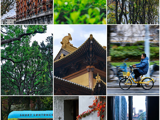 漫步上海：从老砖楼到摩天楼，感受时光的叠韵