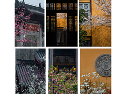 【古建筑.中式审美】当春花与古刹相遇.宁国禅寺