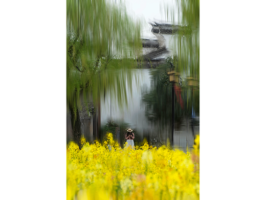 【花海入画】广富林遗址