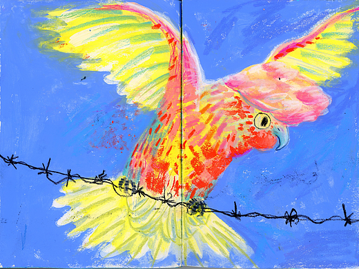 彩色自然 彩色的你们