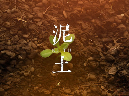 品牌联名茶盏视频