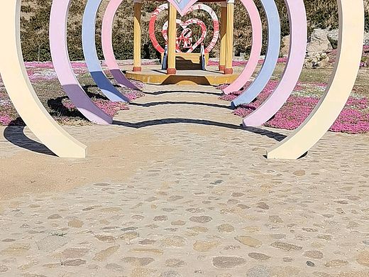 赏花赏月赏秋香