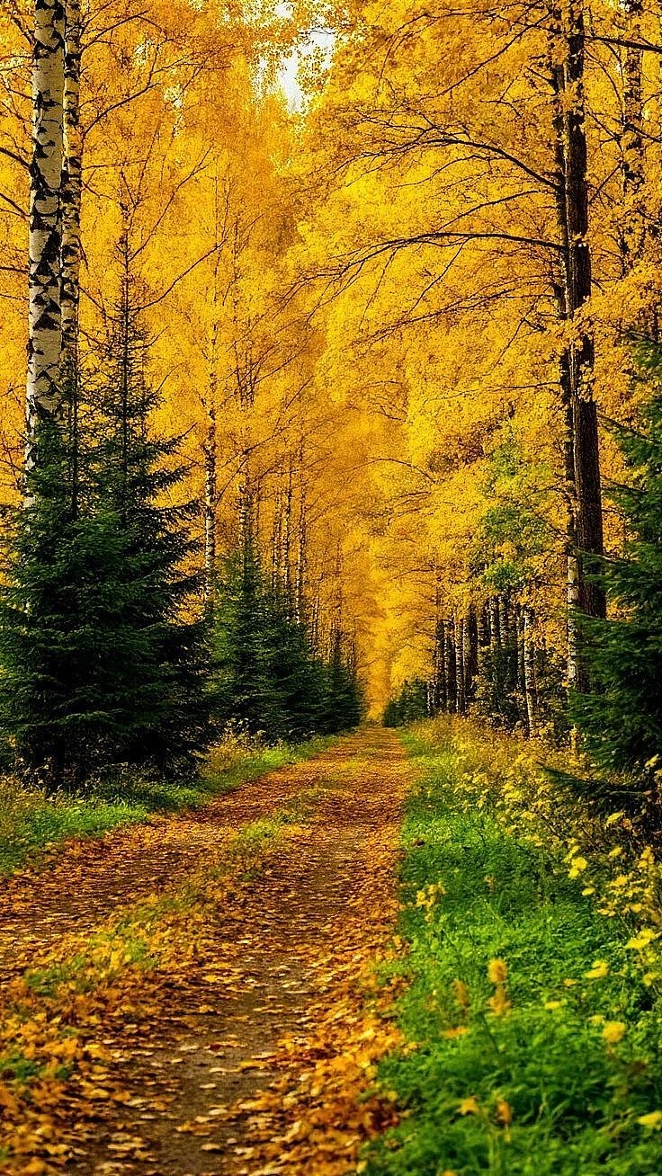 秋光流转处，山河入画来（图ZNDA1MTkyOTQ4） - 风光摄影 - 站酷设计师一小迷糊一原创素材 - 站酷ZCOOL