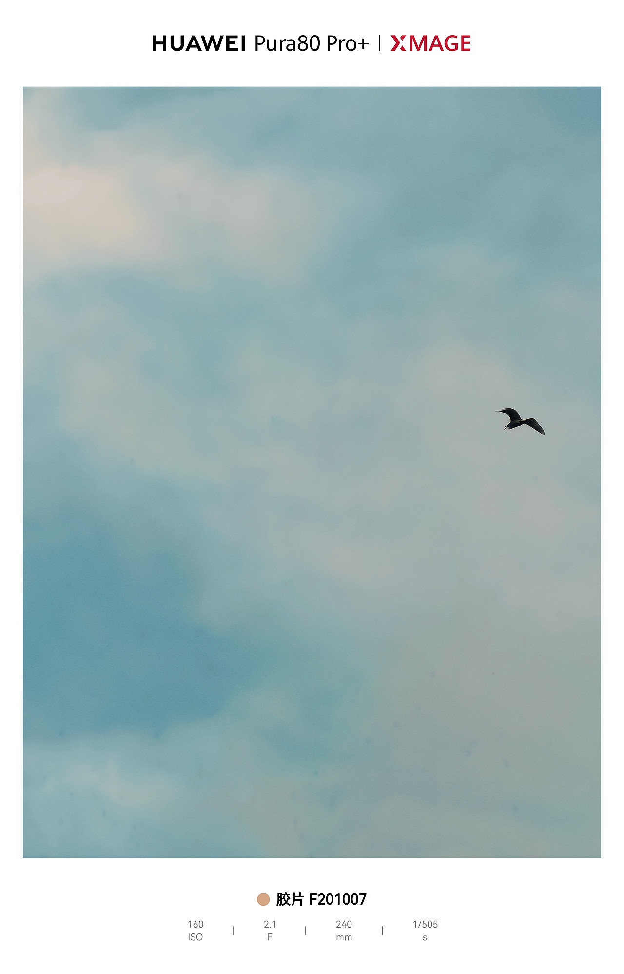 天空作画布，飞鸟成诗行，自由感拉满（图ZNDA1MjA3MDcy） - 风光摄影 - 站酷设计师图龙摄影原创素材 - 站酷ZCOOL