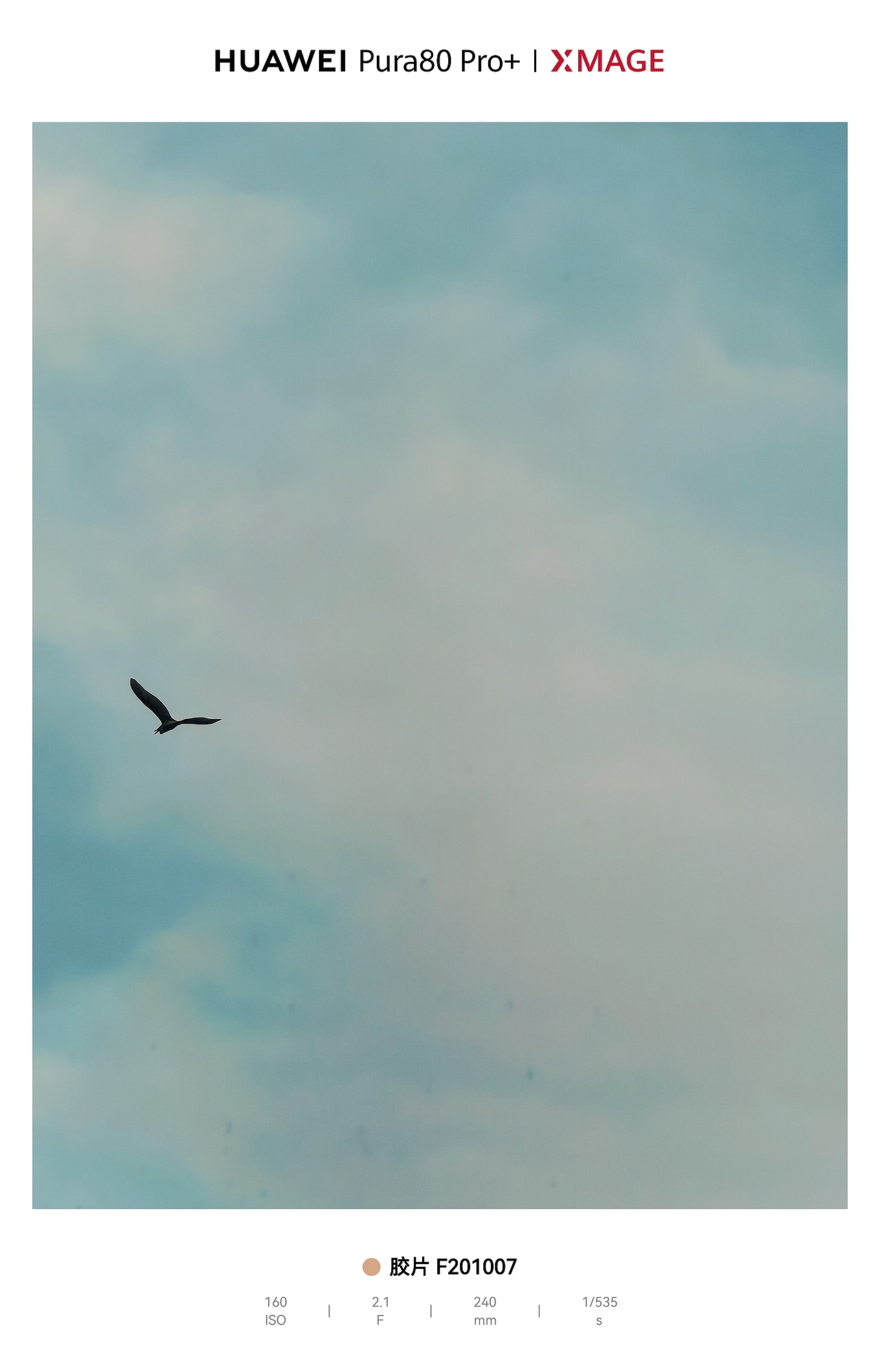 天空作画布，飞鸟成诗行，自由感拉满（图ZNDA1MjA3MDY0） - 风光摄影 - 站酷设计师图龙摄影原创素材 - 站酷ZCOOL