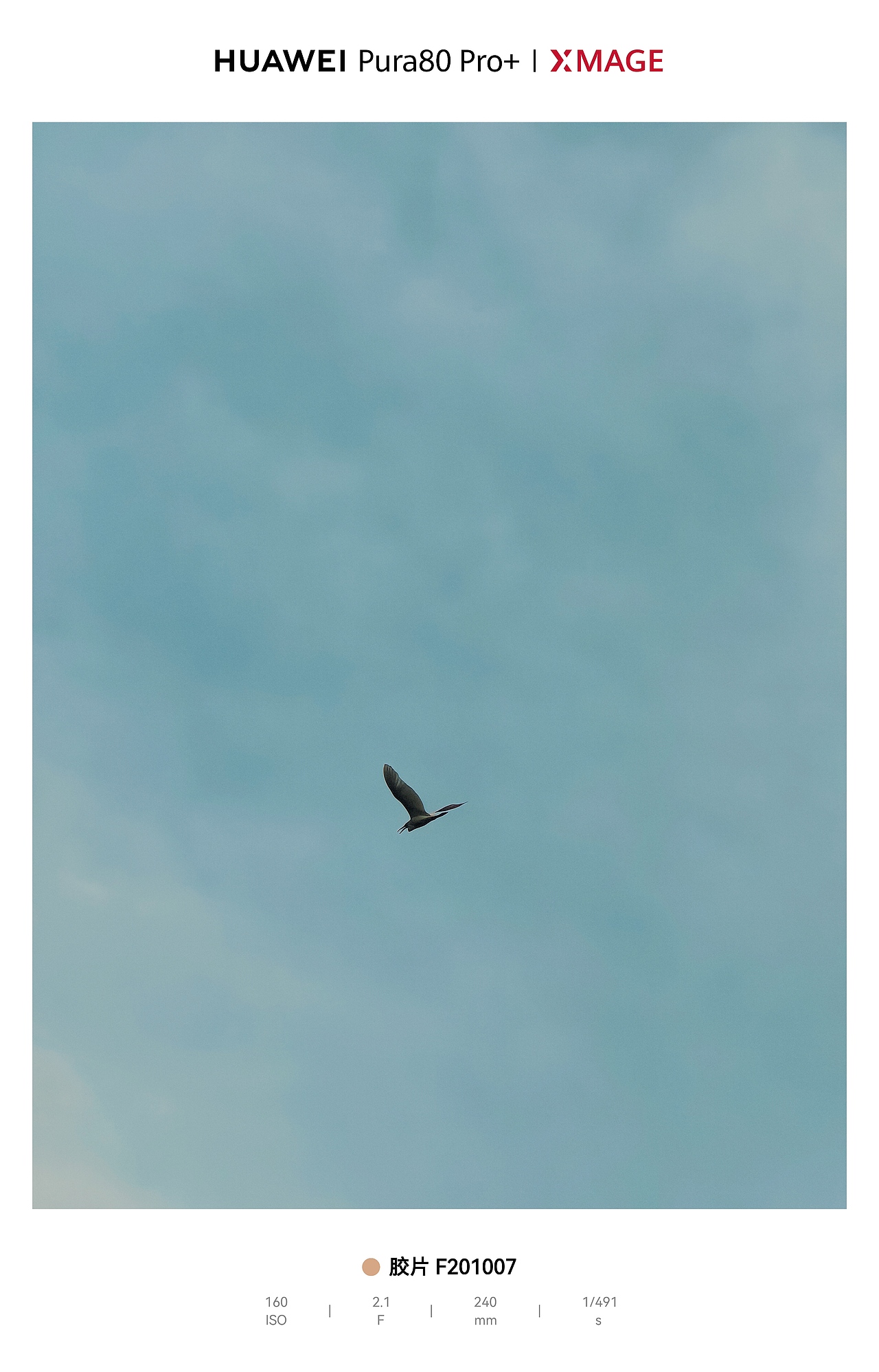 天空作画布，飞鸟成诗行，自由感拉满（图ZNDA1MjA3MDY4） - 风光摄影 - 站酷设计师图龙摄影原创素材 - 站酷ZCOOL