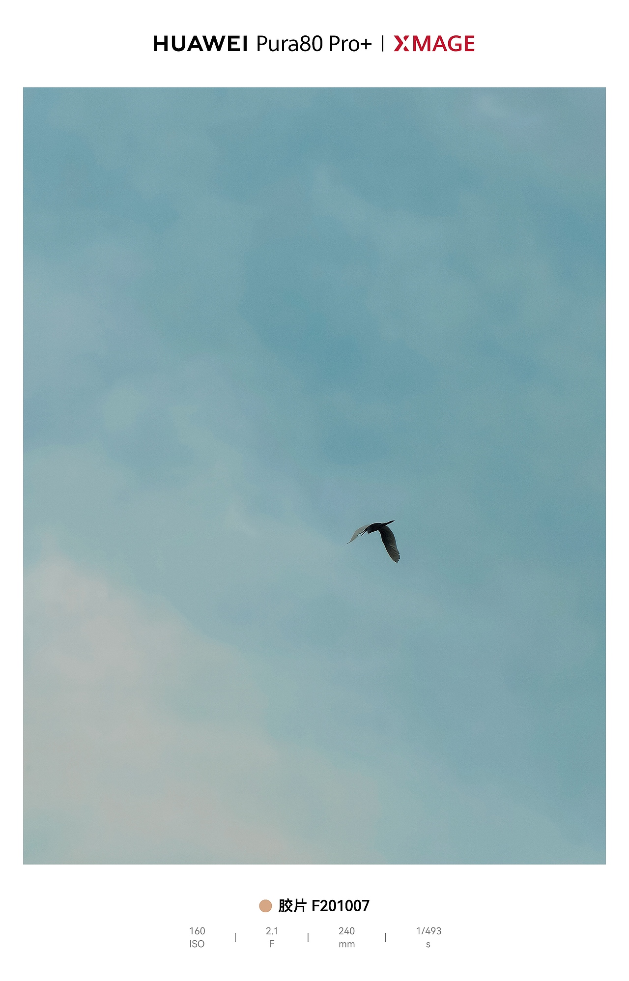 天空作画布，飞鸟成诗行，自由感拉满（图ZNDA1MjA3MDgw） - 风光摄影 - 站酷设计师图龙摄影原创素材 - 站酷ZCOOL