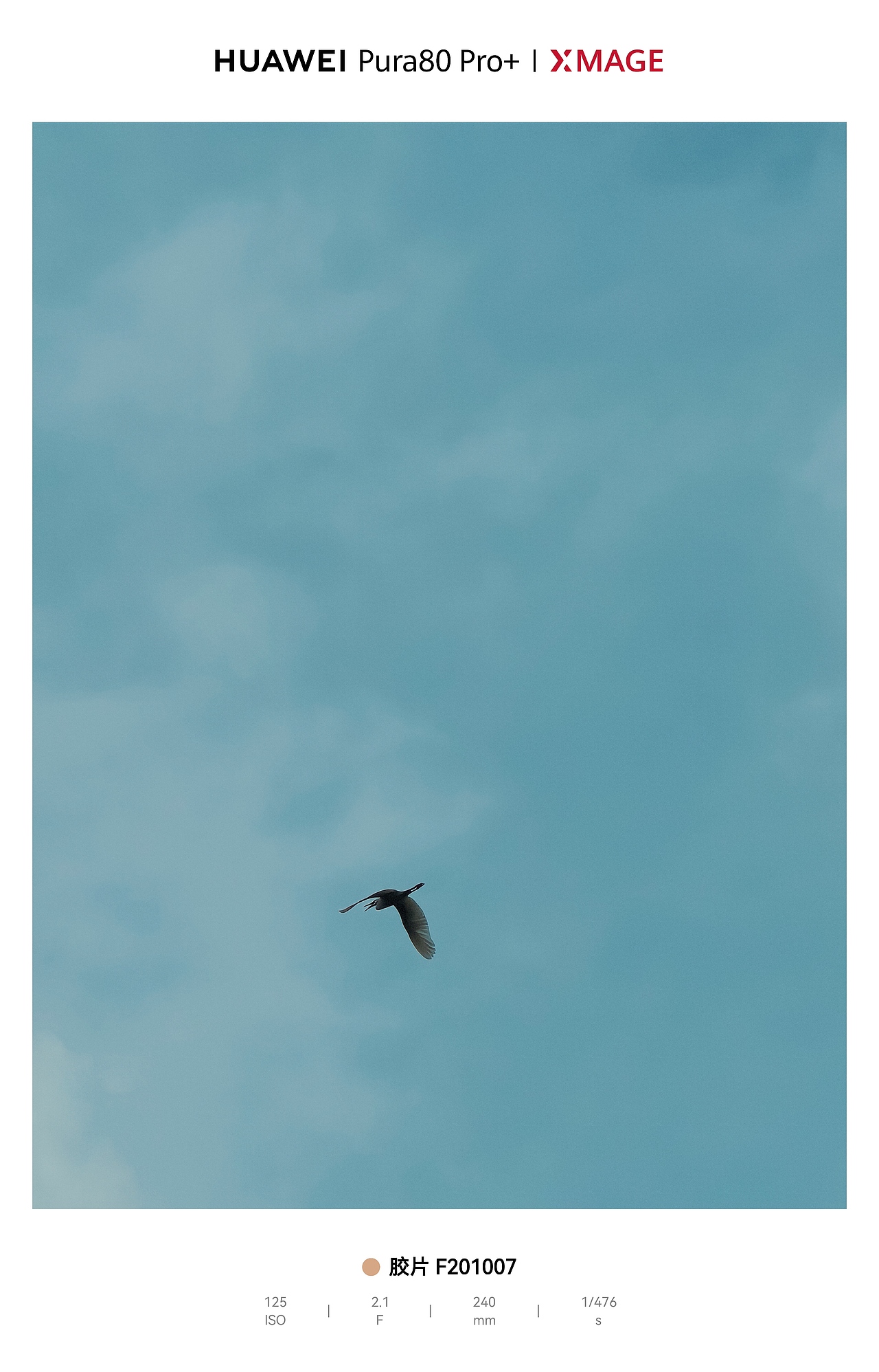 天空作画布，飞鸟成诗行，自由感拉满（图ZNDA1MjA3MDg0） - 风光摄影 - 站酷设计师图龙摄影原创素材 - 站酷ZCOOL