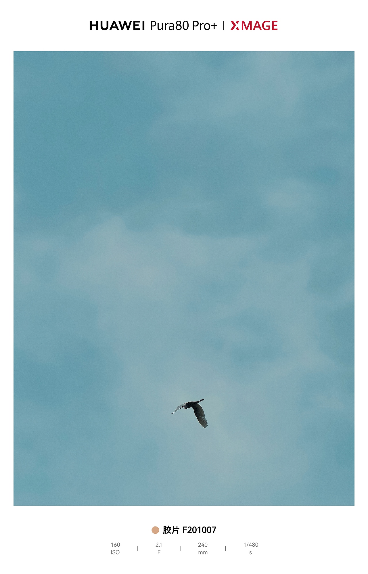 天空作画布，飞鸟成诗行，自由感拉满（图ZNDA1MjA3MDky） - 风光摄影 - 站酷设计师图龙摄影原创素材 - 站酷ZCOOL