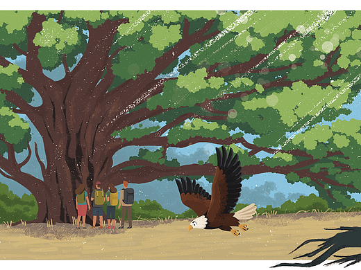 野外插图小练习