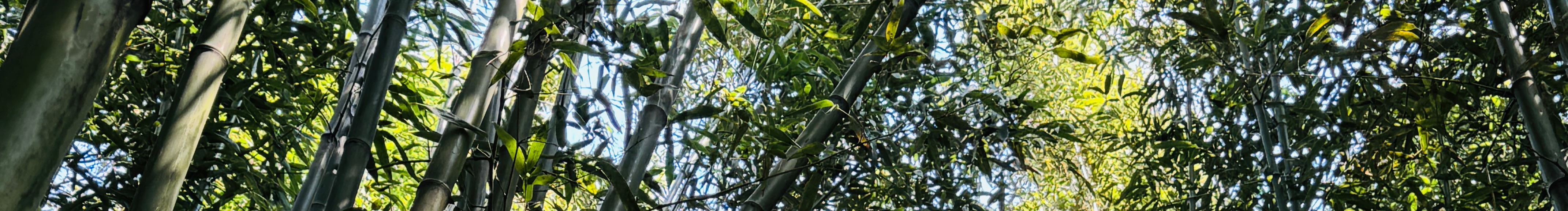 王享受的個(gè)人主頁(yè)（封面預(yù)覽） - 主頁(yè)封面設(shè)置 - 站酷設(shè)計(jì)師王享受原創(chuàng)素材 - 站酷ZCOOL