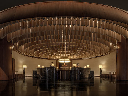 CCD —— 大樹華蓋  天目含章