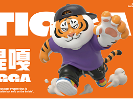 IP类