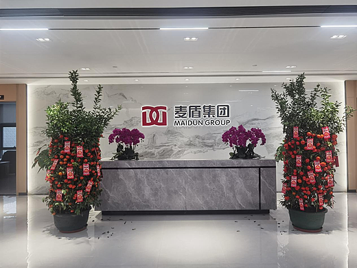 2026年金属探测仪公司有哪些