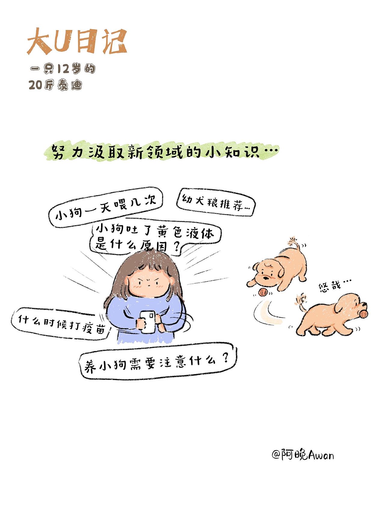 我的小狗1个月啦（图ZNDA1MjQxNTU2） - 创作习作 - 站酷设计师阿晚插画Awan原创素材 - 站酷ZCOOL