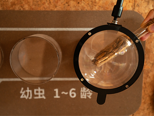 万科黑水虻互动科普馆