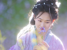 二月兰花海｜圆明园春日限定浪漫