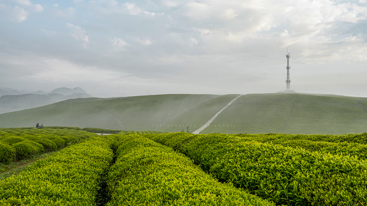 贵州西秀十二茅坡茶海风光（图ZNDA1MjUzNjk2） - 风光摄影 - 站酷设计师安顺时光原创素材 - 站酷ZCOOL