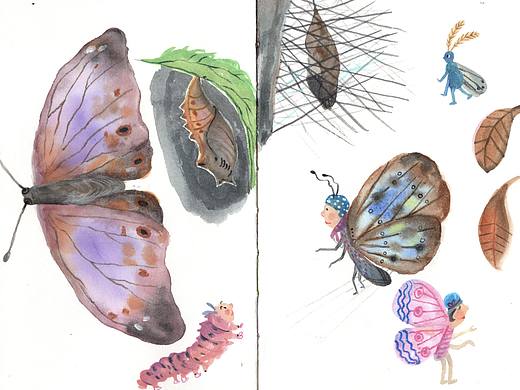一些关于毛毛虫和蝴蝶的练习