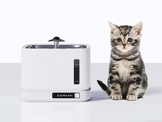 宠物饮水机设计案例分享