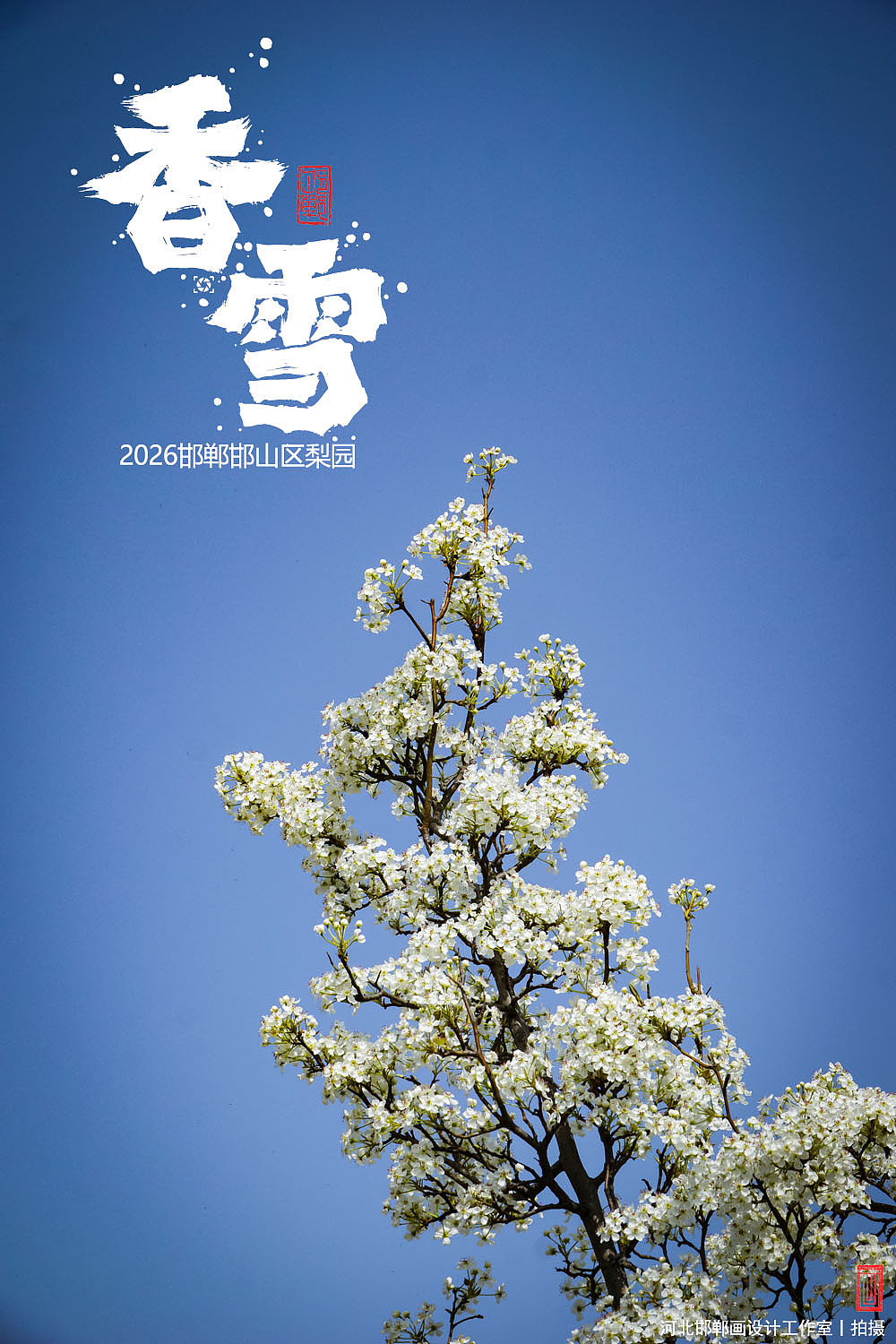 香雪（图ZNDA1MjkyNDg4） - 人文/纪实摄影 - 站酷设计师画设计原创素材 - 站酷ZCOOL