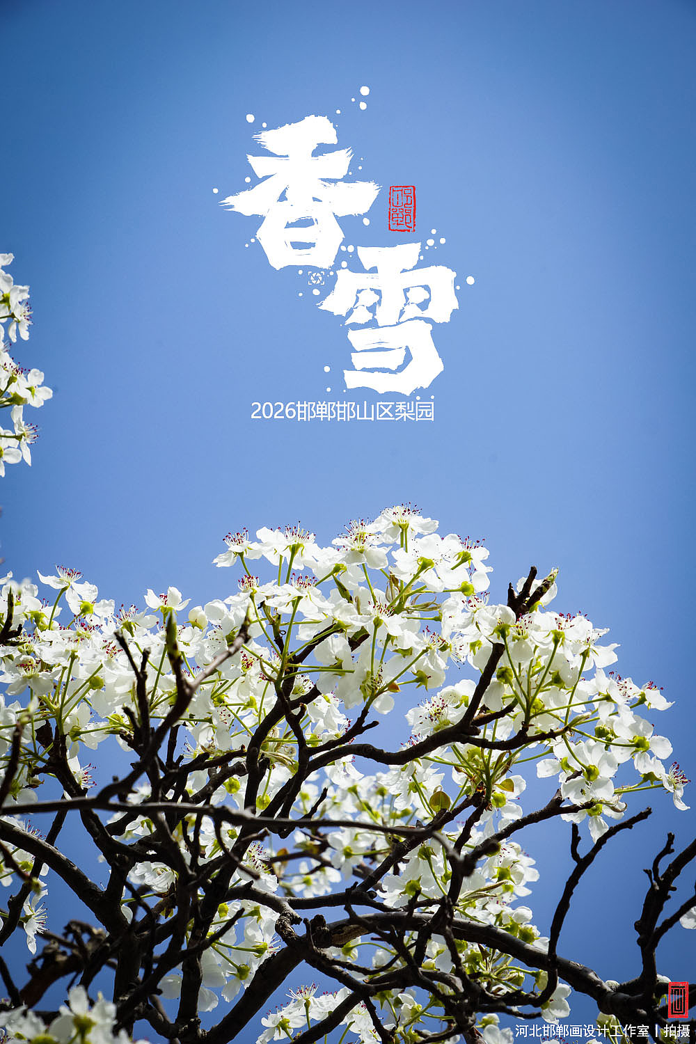 香雪（图ZNDA1MjkyNTM2） - 人文/纪实摄影 - 站酷设计师画设计原创素材 - 站酷ZCOOL