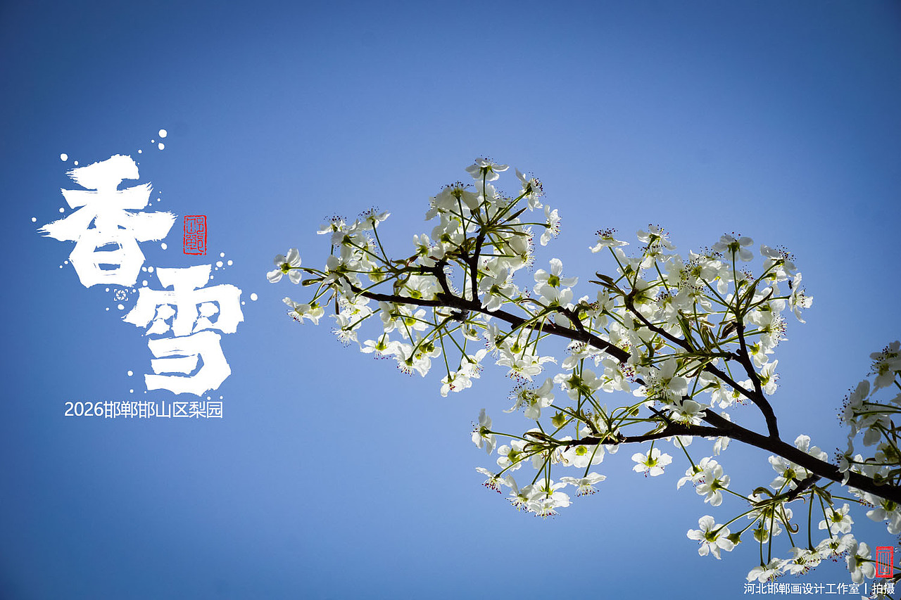 香雪（图ZNDA1MjkyNTQ4） - 人文/纪实摄影 - 站酷设计师画设计原创素材 - 站酷ZCOOL