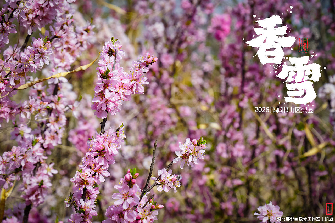 香雪（图ZNDA1MjkyNDk2） - 人文/纪实摄影 - 站酷设计师画设计原创素材 - 站酷ZCOOL