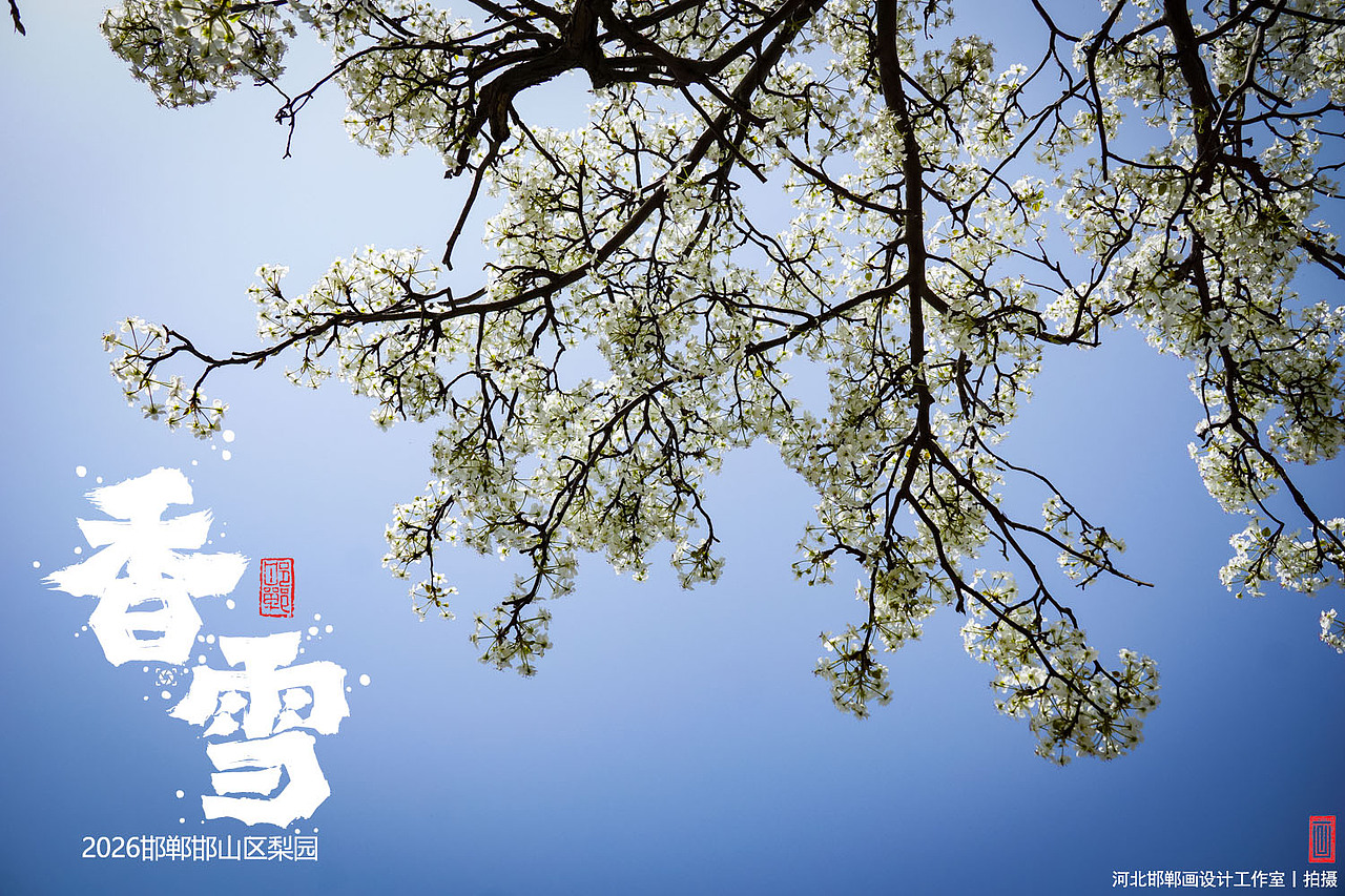 香雪（图ZNDA1MjkyNTc2） - 人文/纪实摄影 - 站酷设计师画设计原创素材 - 站酷ZCOOL