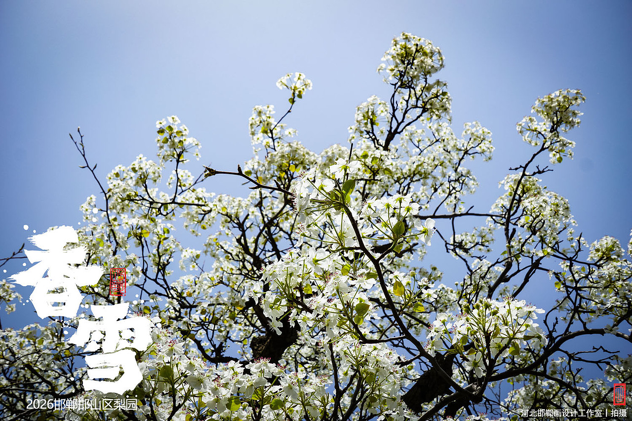 香雪（图ZNDA1MjkyNTcy） - 人文/纪实摄影 - 站酷设计师画设计原创素材 - 站酷ZCOOL