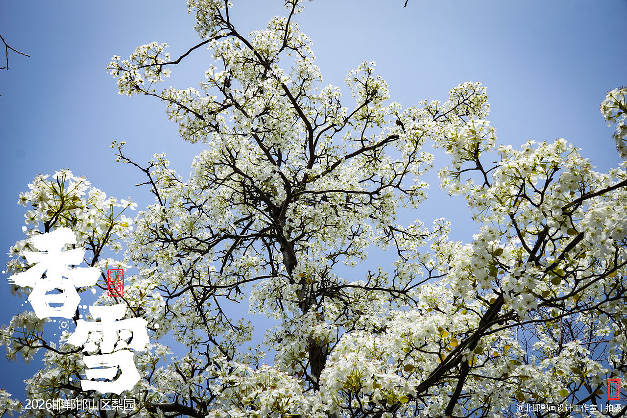 香雪（图ZNDA1MjkyNTg4） - 人文/纪实摄影 - 站酷设计师画设计原创素材 - 站酷ZCOOL