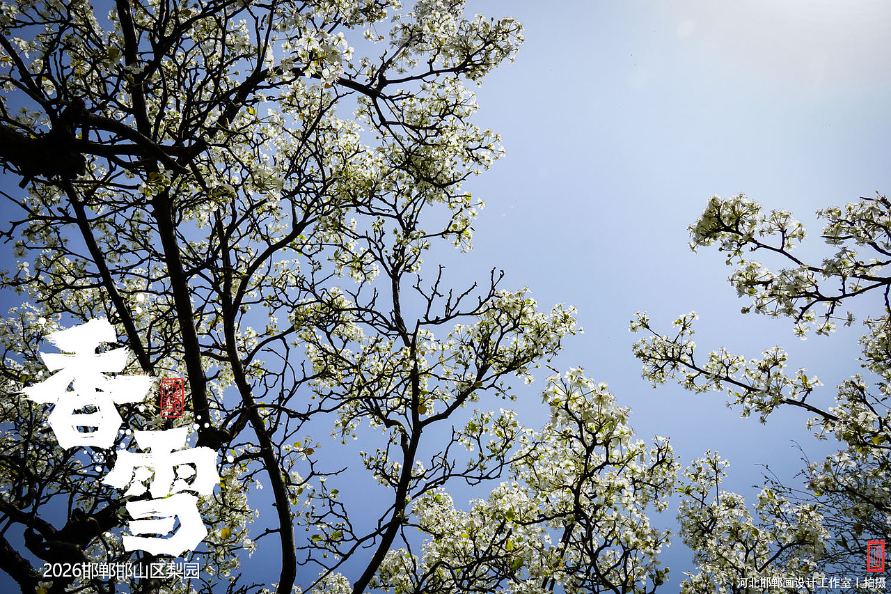 香雪（图ZNDA1MjkyNjAw） - 人文/纪实摄影 - 站酷设计师画设计原创素材 - 站酷ZCOOL