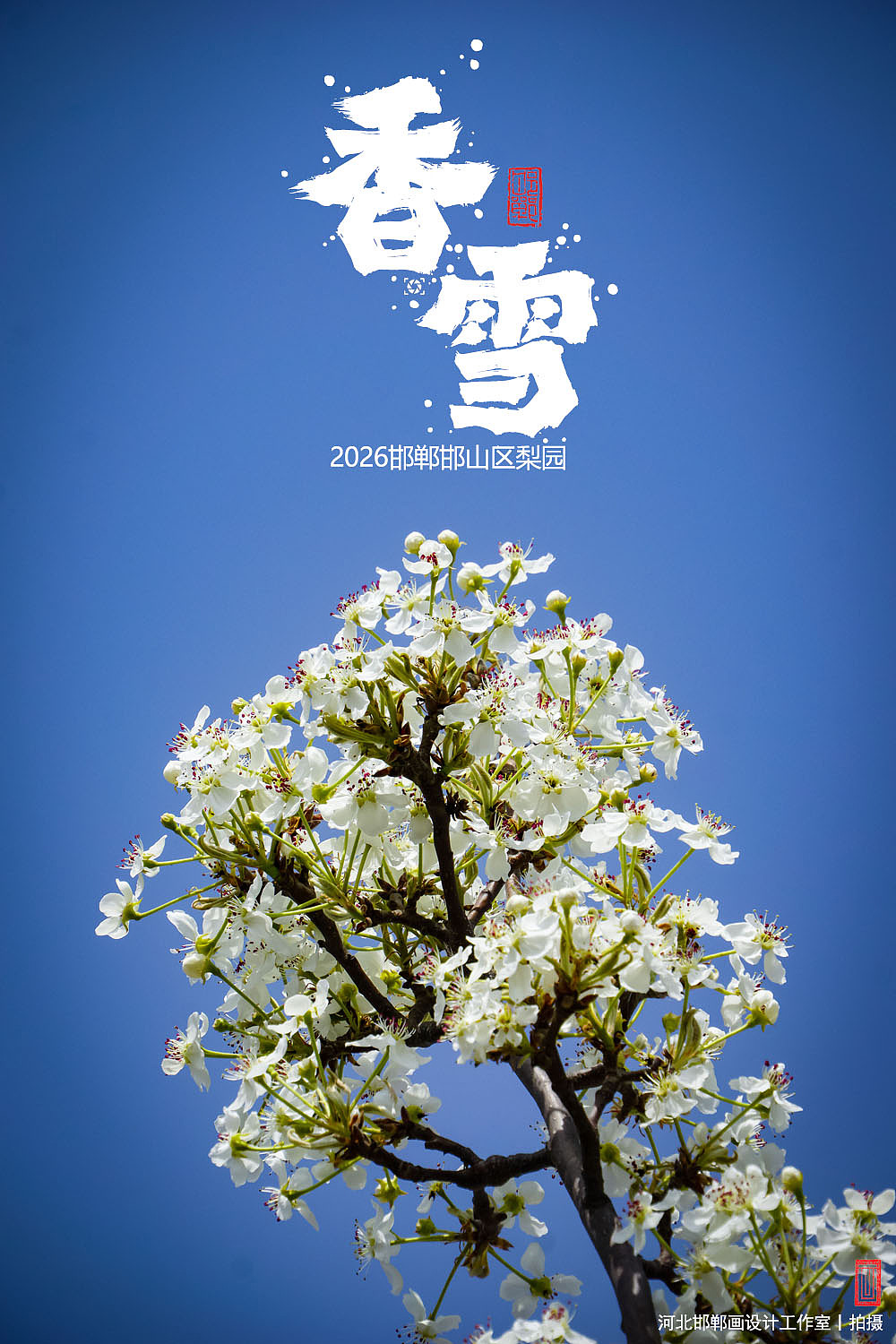 香雪（图ZNDA1MjkyNjA4） - 人文/纪实摄影 - 站酷设计师画设计原创素材 - 站酷ZCOOL