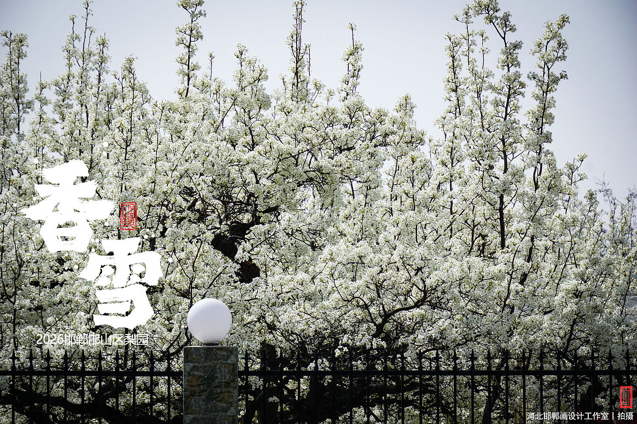 香雪（图ZNDA1MjkyNjE2） - 人文/纪实摄影 - 站酷设计师画设计原创素材 - 站酷ZCOOL