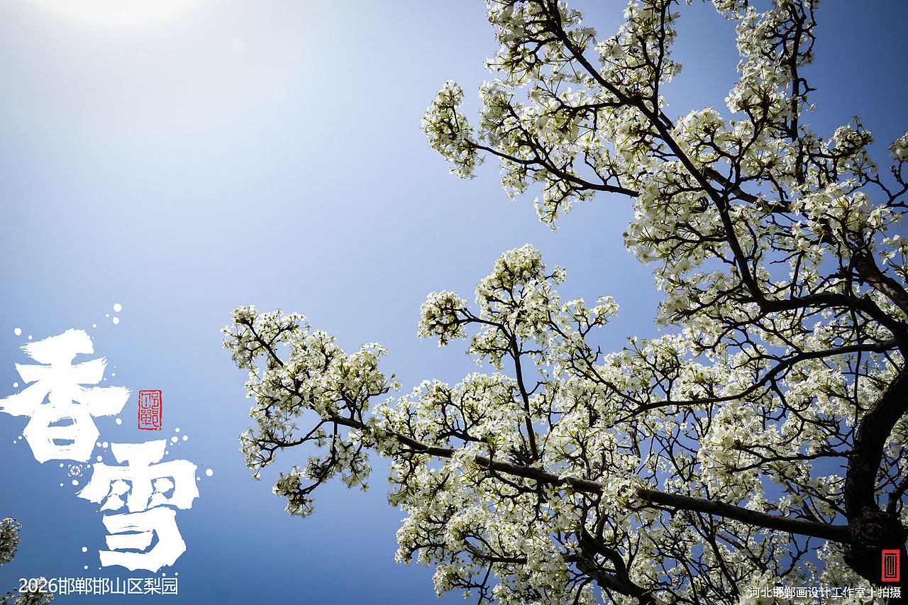 香雪（图ZNDA1MjkyNjEy） - 人文/纪实摄影 - 站酷设计师画设计原创素材 - 站酷ZCOOL