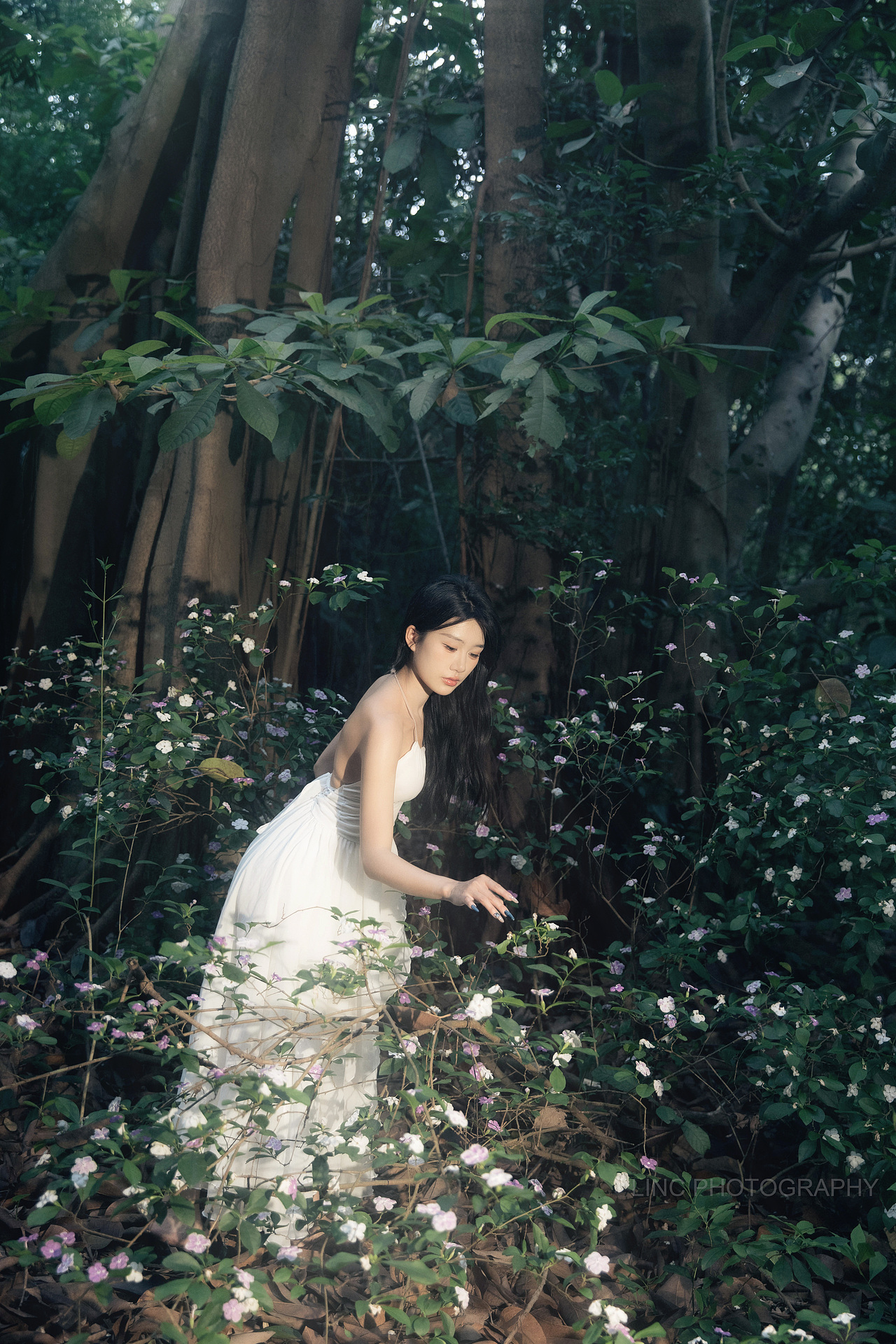 森之少女（圖ZNDA1MjkzMzgw） - 人像攝影 - 站酷設(shè)計師長夜聽風(fēng)原創(chuàng)素材 - 站酷ZCOOL