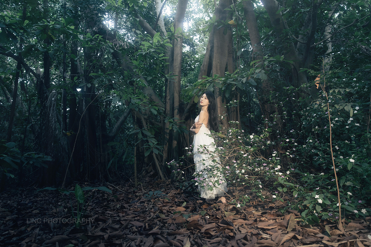 森之少女（圖ZNDA1MjkzMzY4） - 人像攝影 - 站酷設(shè)計師長夜聽風(fēng)原創(chuàng)素材 - 站酷ZCOOL