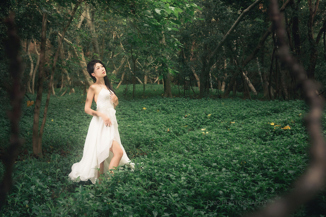 森之少女（圖ZNDA1MjkzMzk2） - 人像攝影 - 站酷設(shè)計師長夜聽風(fēng)原創(chuàng)素材 - 站酷ZCOOL