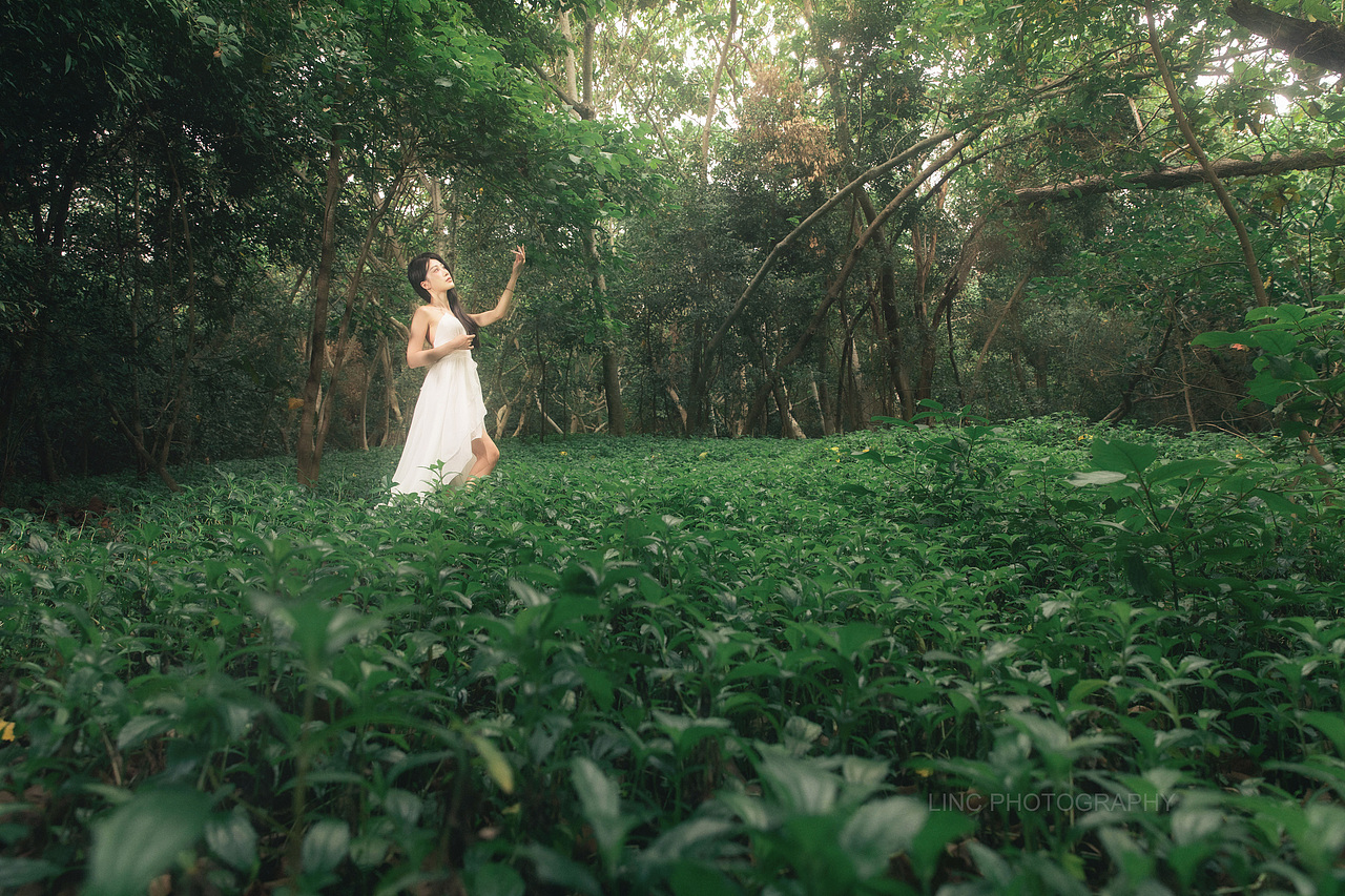 森之少女（圖ZNDA1MjkzNDAw） - 人像攝影 - 站酷設(shè)計師長夜聽風(fēng)原創(chuàng)素材 - 站酷ZCOOL