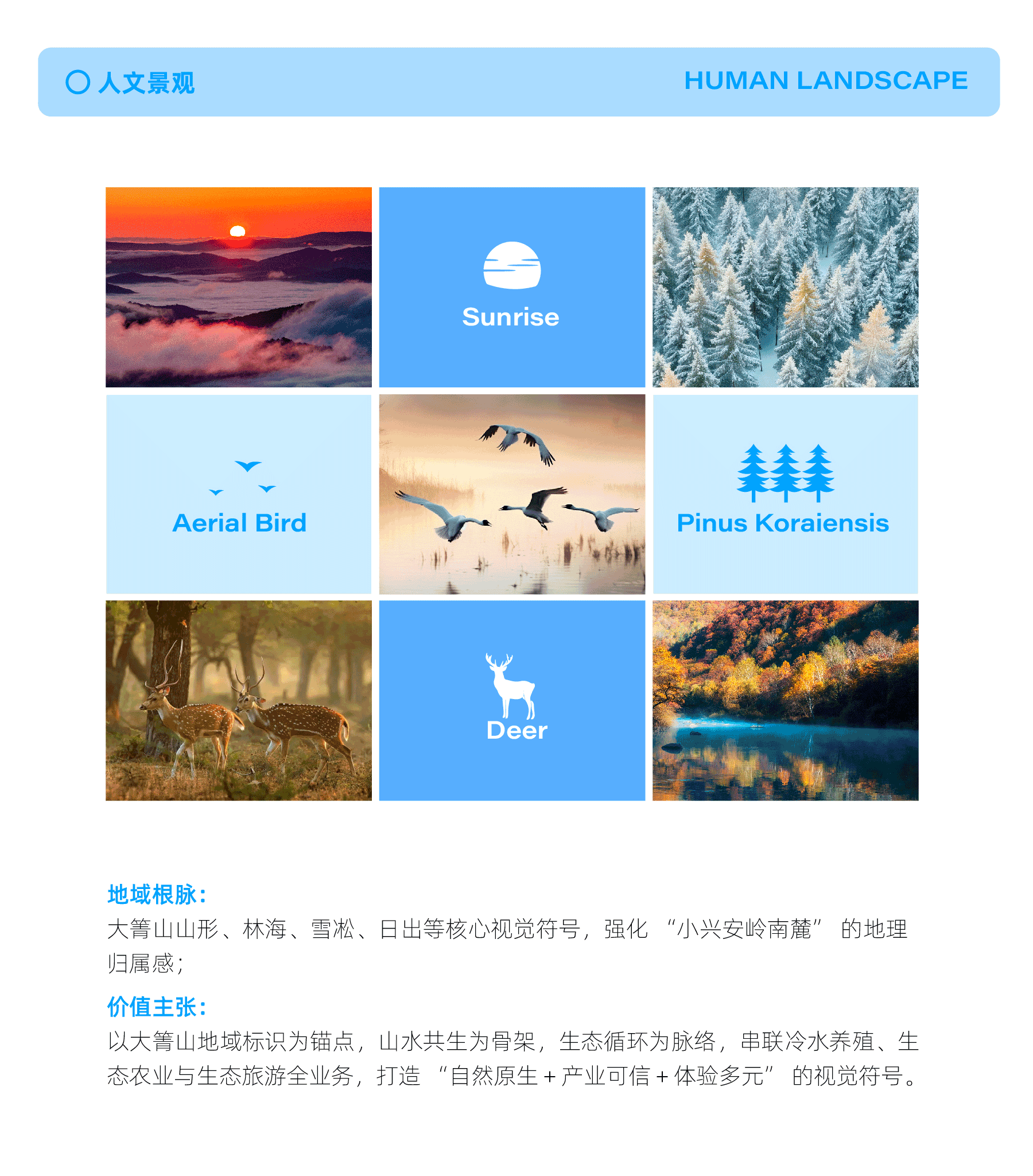LOGO设计 小兴安岭 景区logo设计 VI设计 景区VI设计（图ZNDA1MzAxNjAw） - Logo - 站酷设计师妙鹊虎哥原创素材 - 站酷ZCOOL